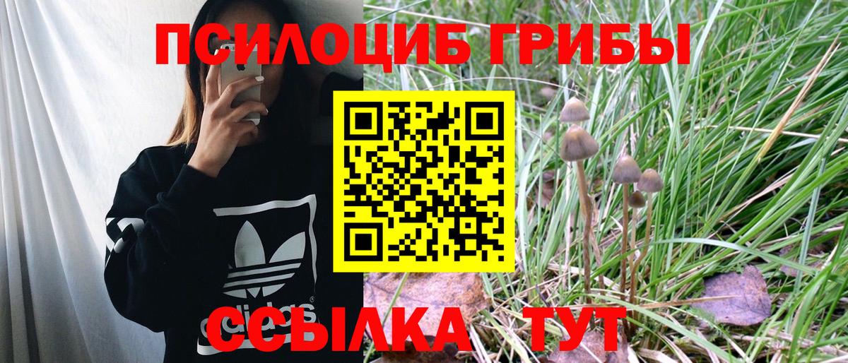 Галлюциногенные грибы Cubensis Саратов