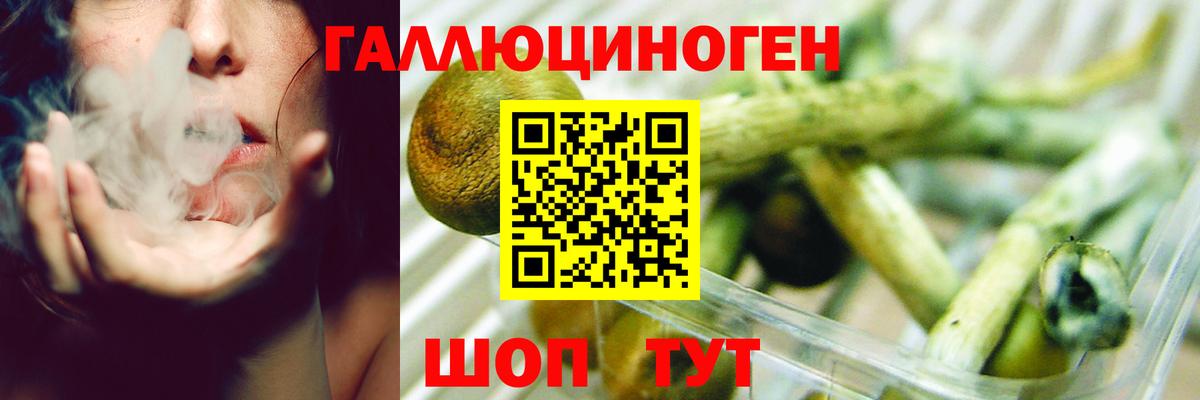 Саратов  Галлюциногенные грибы Magic Shrooms  дарнет шоп  Вход с VPN  Псилоцибиновые грибы ЛСД 